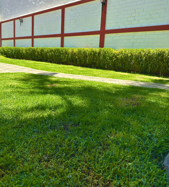 Centro de rehabilitación en Guadalajara
